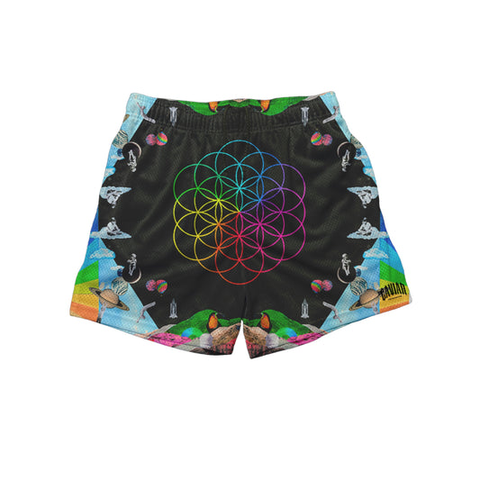 SPECTRUM SHORTS
